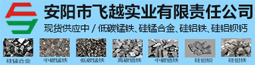 安阳市飞越实业有限责任公司