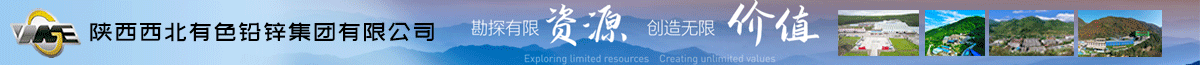 陕西西北有色铅锌集团有限公司