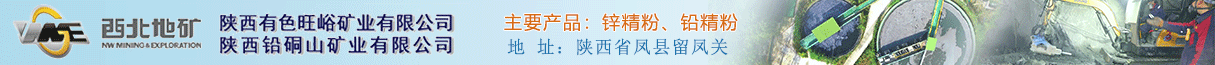 陕西铅铜山矿业有限公司